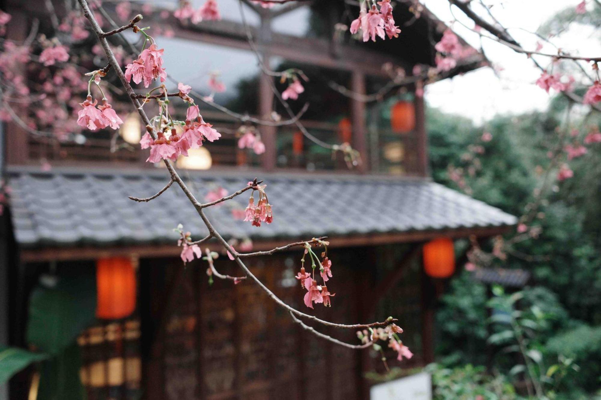 公馆响水客栈公寓 外观 照片